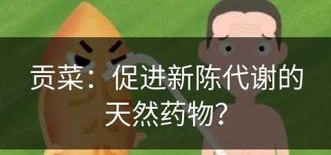 贡菜：促进新陈代谢的天然药物？